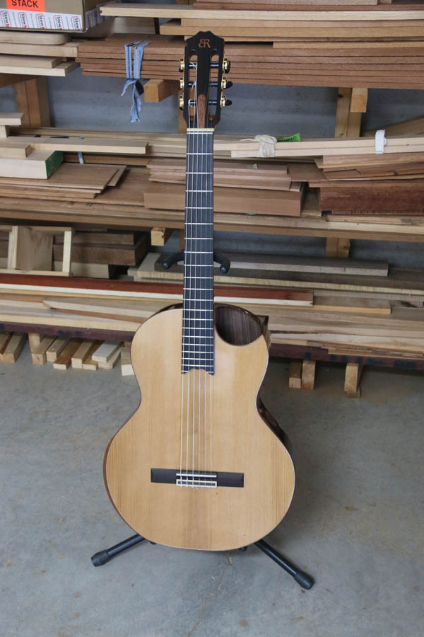 Guitar